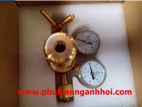 ĐỒNG HỒ NI TƠ CÔNG NGHIỆP(N2)